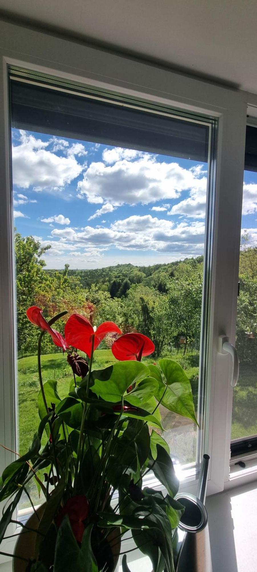 Villa Kunterbunt Kumberg Kültér fotó